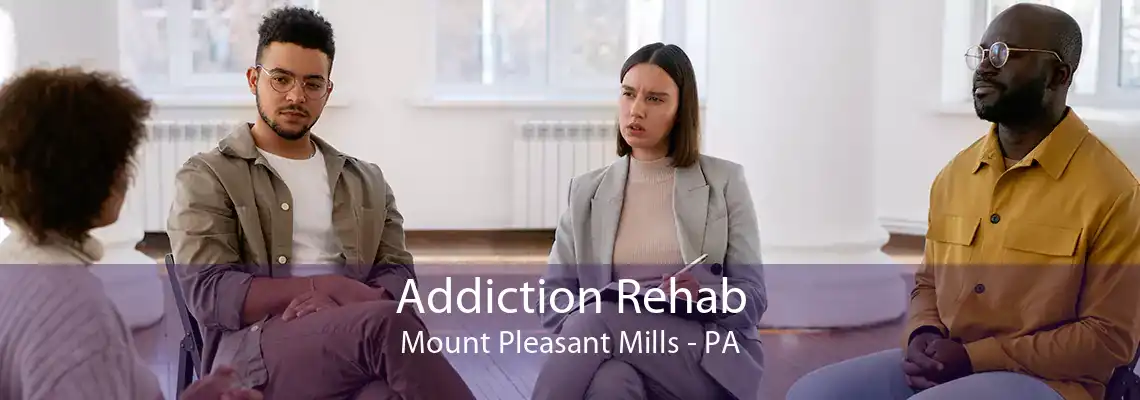 Addiction Rehab Mount Pleasant Mills - PA
