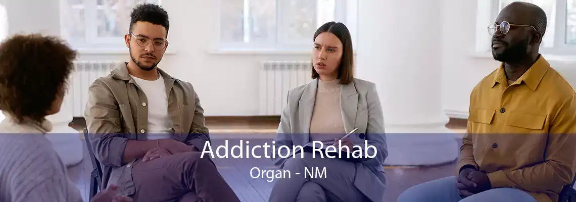 Addiction Rehab Organ - NM