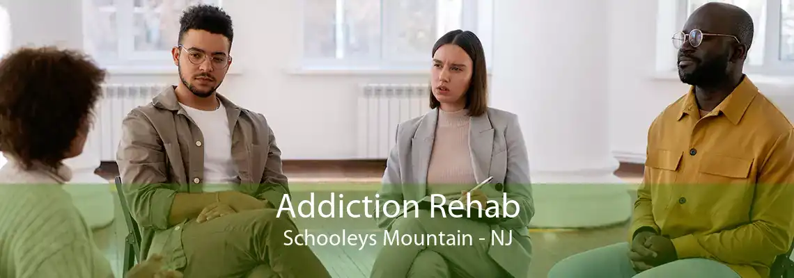 Addiction Rehab Schooleys Mountain - NJ
