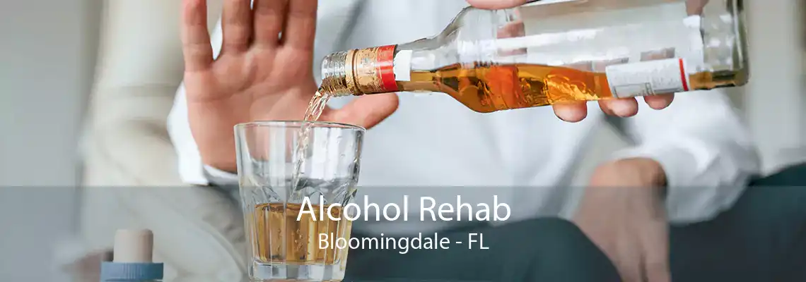 Alcohol Rehab Bloomingdale - FL