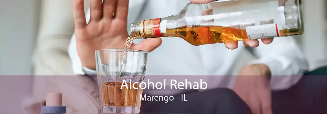 Alcohol Rehab Marengo - IL