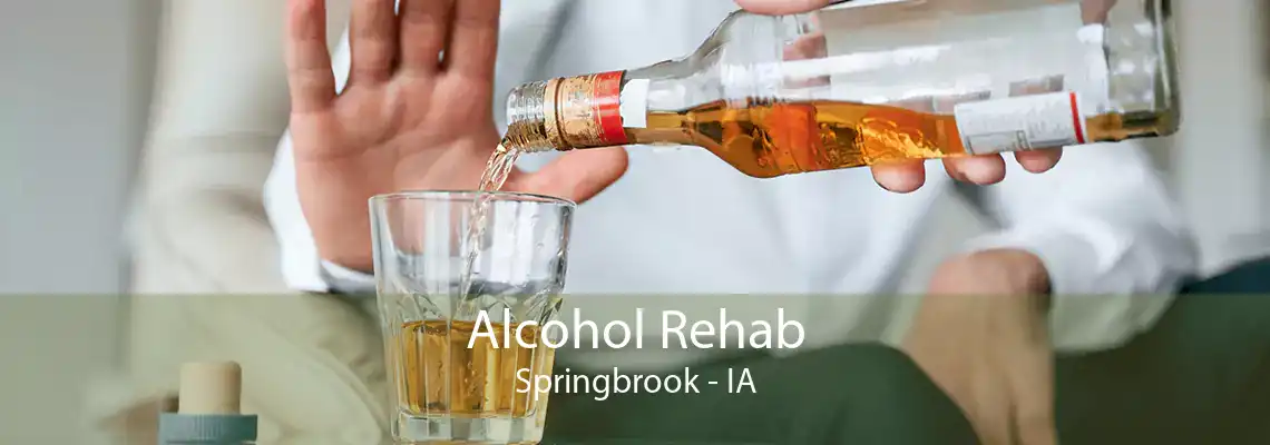 Alcohol Rehab Springbrook - IA