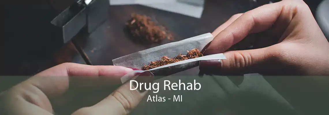 Drug Rehab Atlas - MI