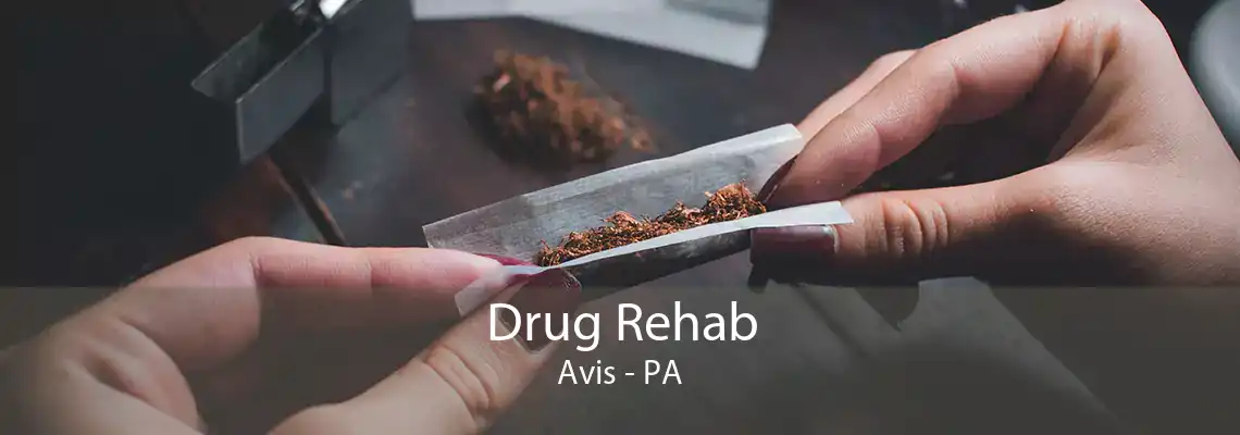 Drug Rehab Avis - PA