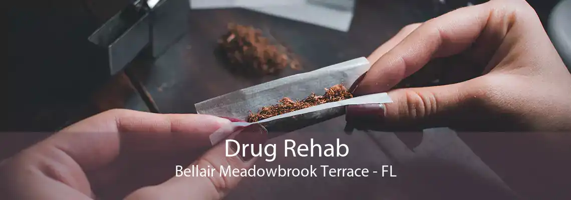 Drug Rehab Bellair Meadowbrook Terrace - FL