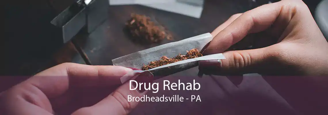 Drug Rehab Brodheadsville - PA