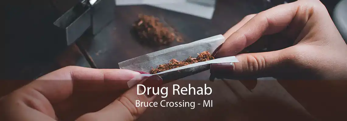 Drug Rehab Bruce Crossing - MI