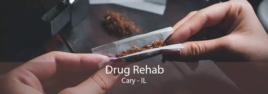 Drug Rehab Cary - IL