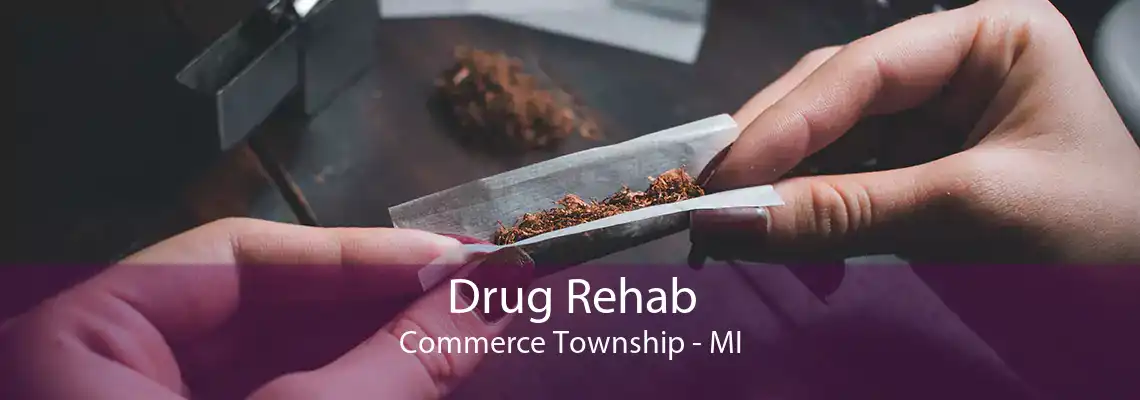 Drug Rehab Commerce Township - MI