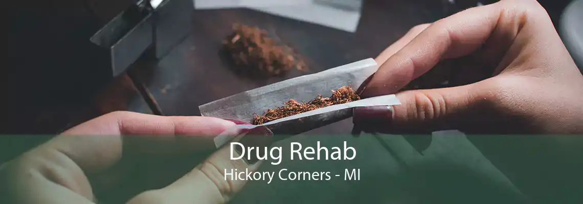 Drug Rehab Hickory Corners - MI