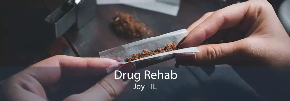 Drug Rehab Joy - IL