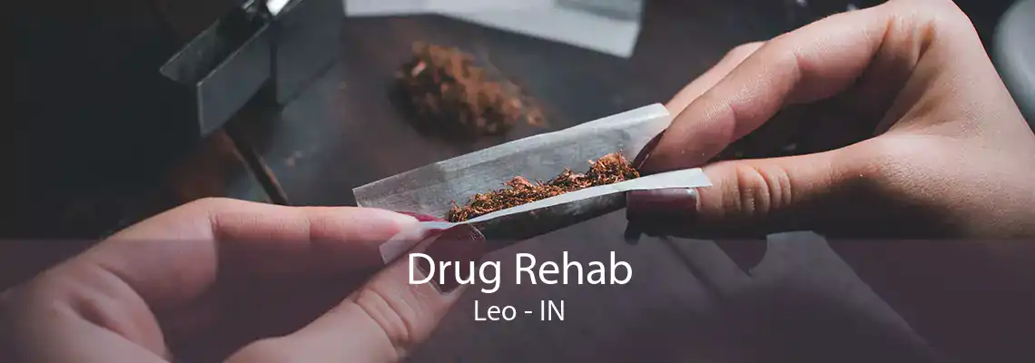 Drug Rehab Leo - IN