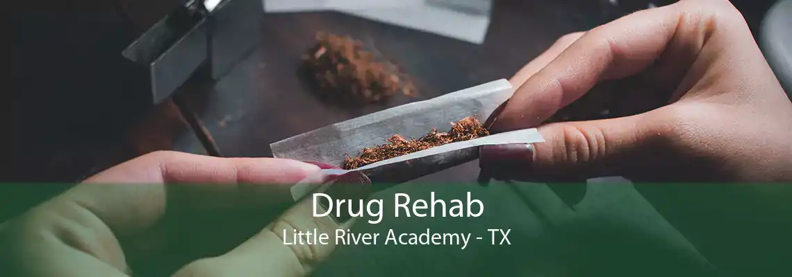 Drug Rehab Little River Academy - TX