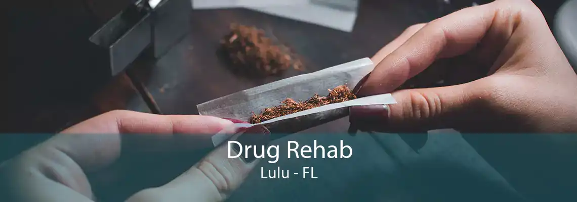 Drug Rehab Lulu - FL
