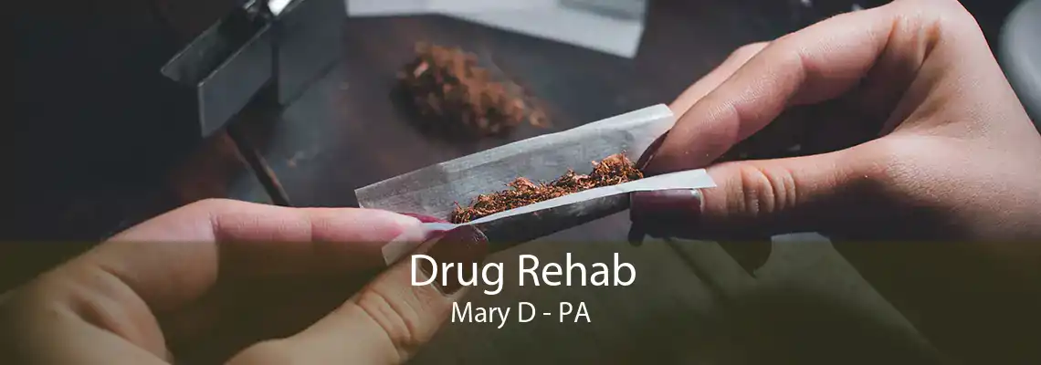 Drug Rehab Mary D - PA