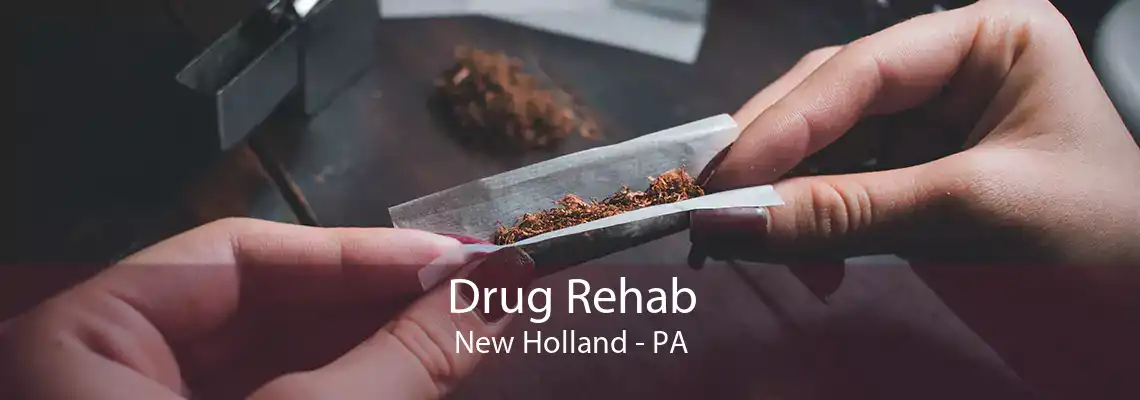 Drug Rehab New Holland - PA