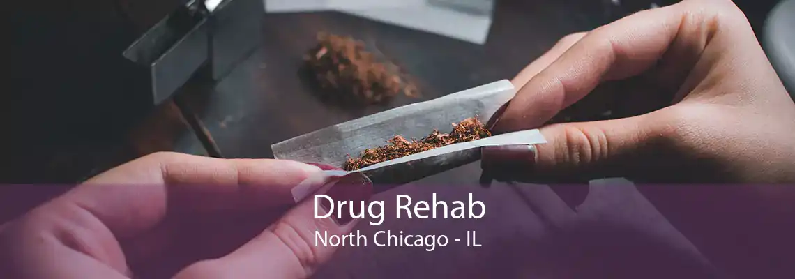 Drug Rehab North Chicago - IL