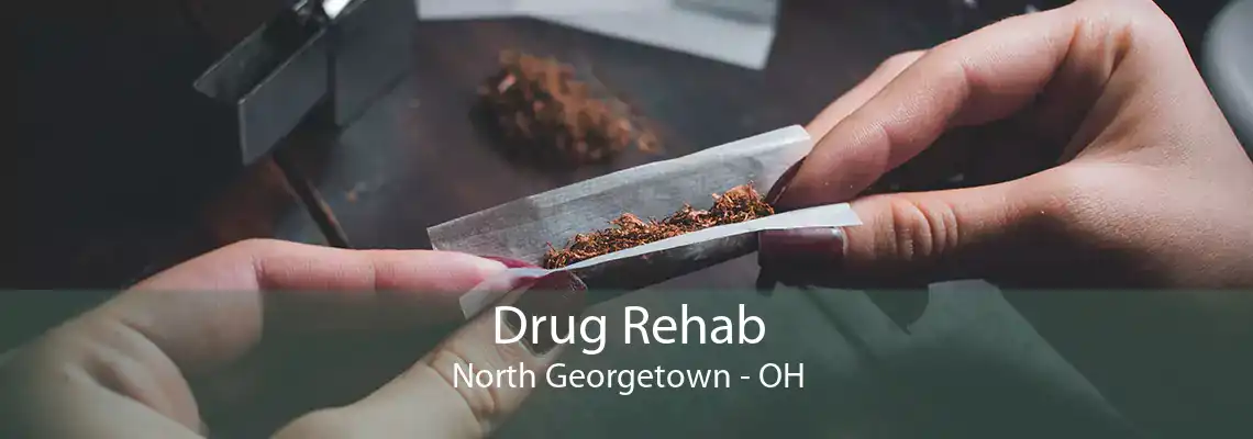 Drug Rehab North Georgetown - OH