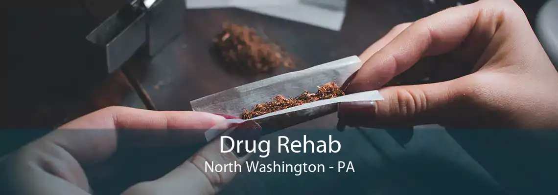 Drug Rehab North Washington - PA