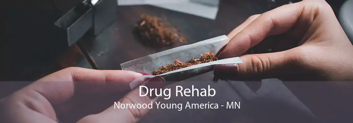 Drug Rehab Norwood Young America - MN