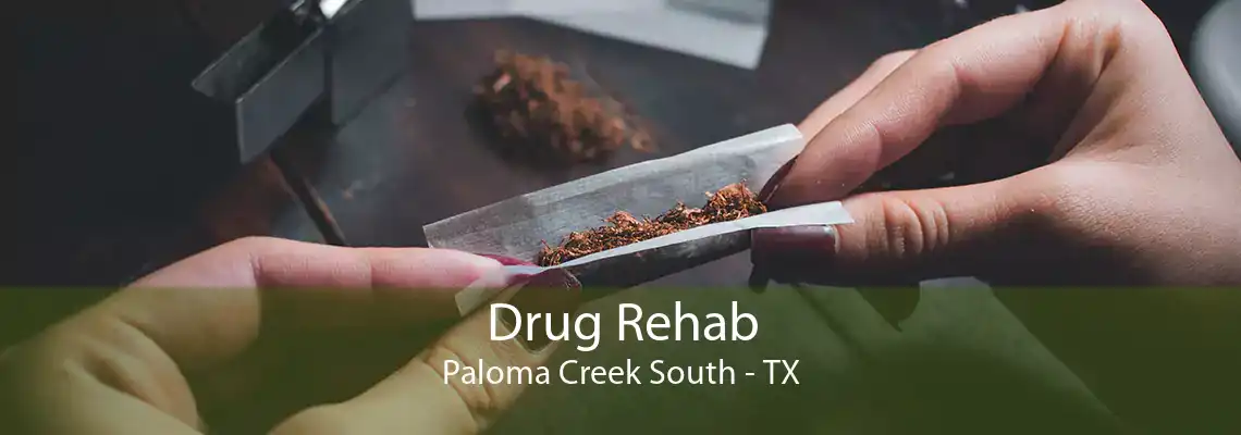 Drug Rehab Paloma Creek South - TX
