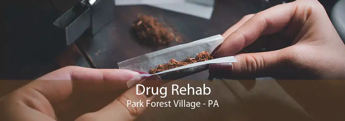 Drug Rehab Park Forest Village - PA