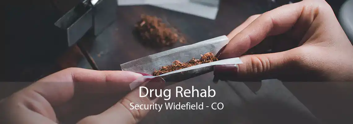 Drug Rehab Security Widefield - CO