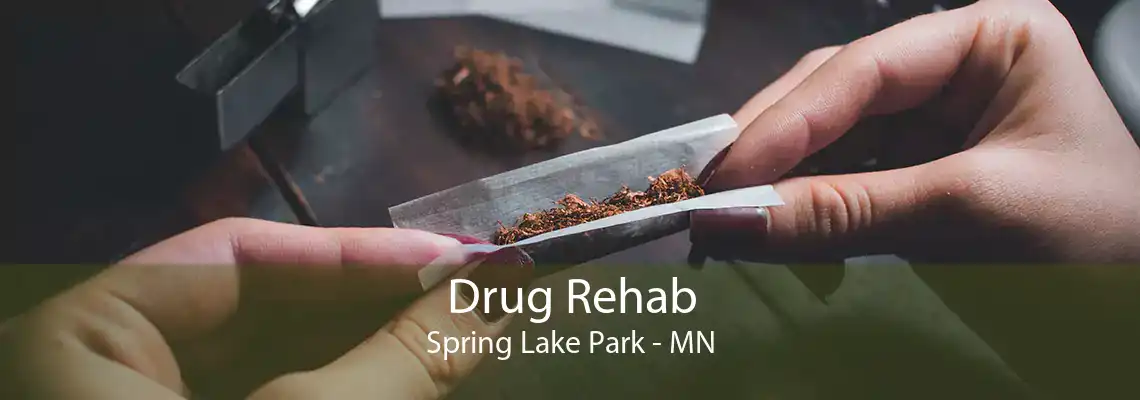 Drug Rehab Spring Lake Park - MN