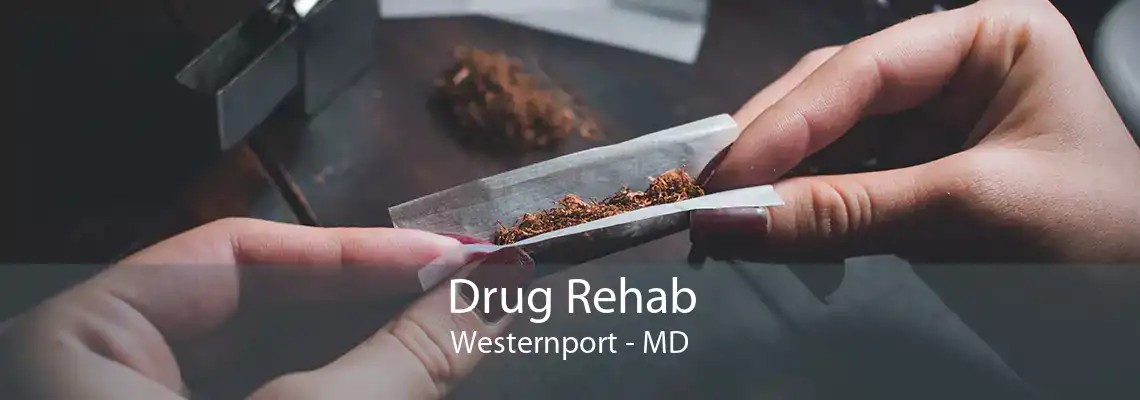 Drug Rehab Westernport - MD