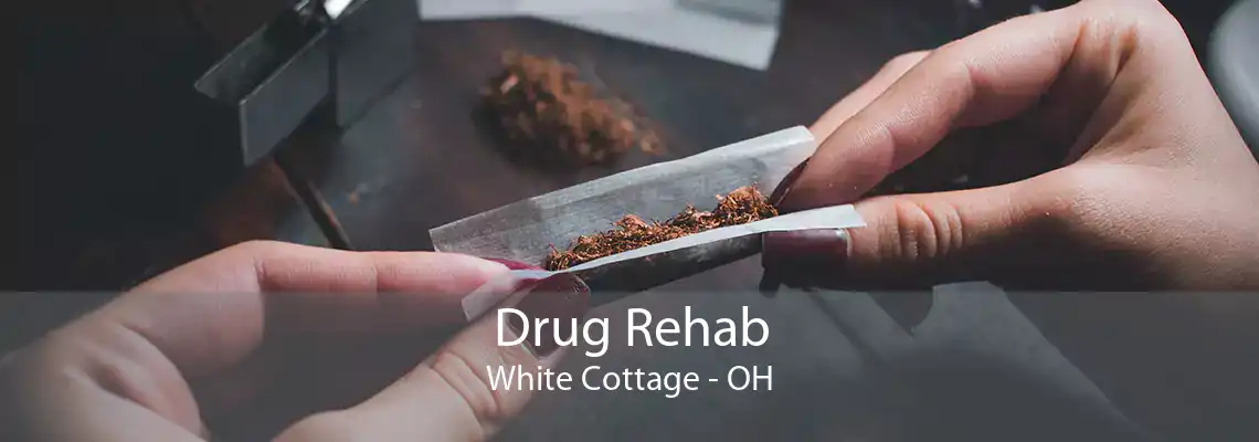 Drug Rehab White Cottage - OH