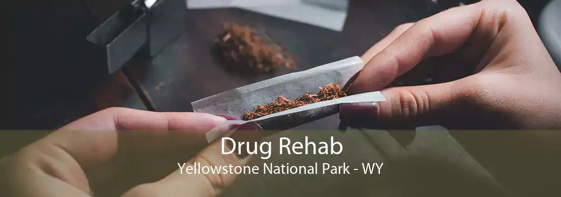 Drug Rehab Yellowstone National Park - WY