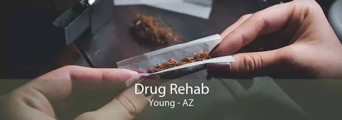 Drug Rehab Young - AZ