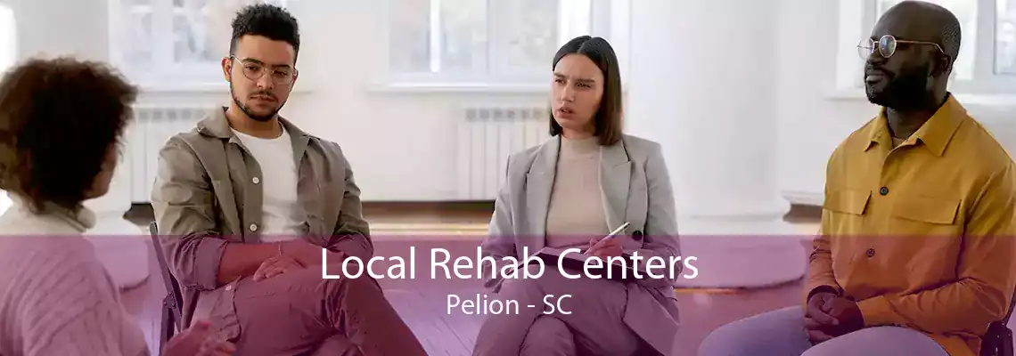 Local Rehab Centers Pelion - SC