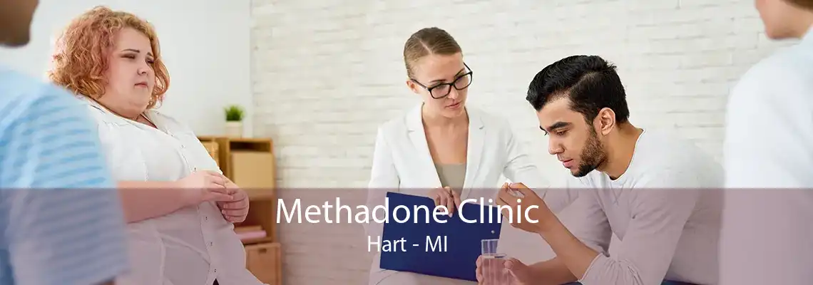 Methadone Clinic Hart - MI