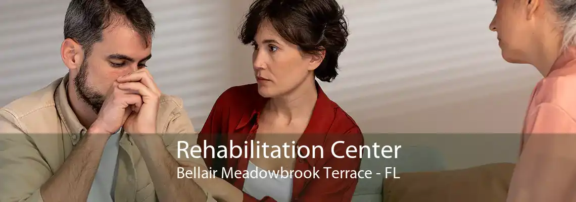 Rehabilitation Center Bellair Meadowbrook Terrace - FL