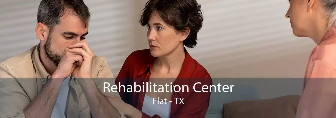 Rehabilitation Center Flat - TX